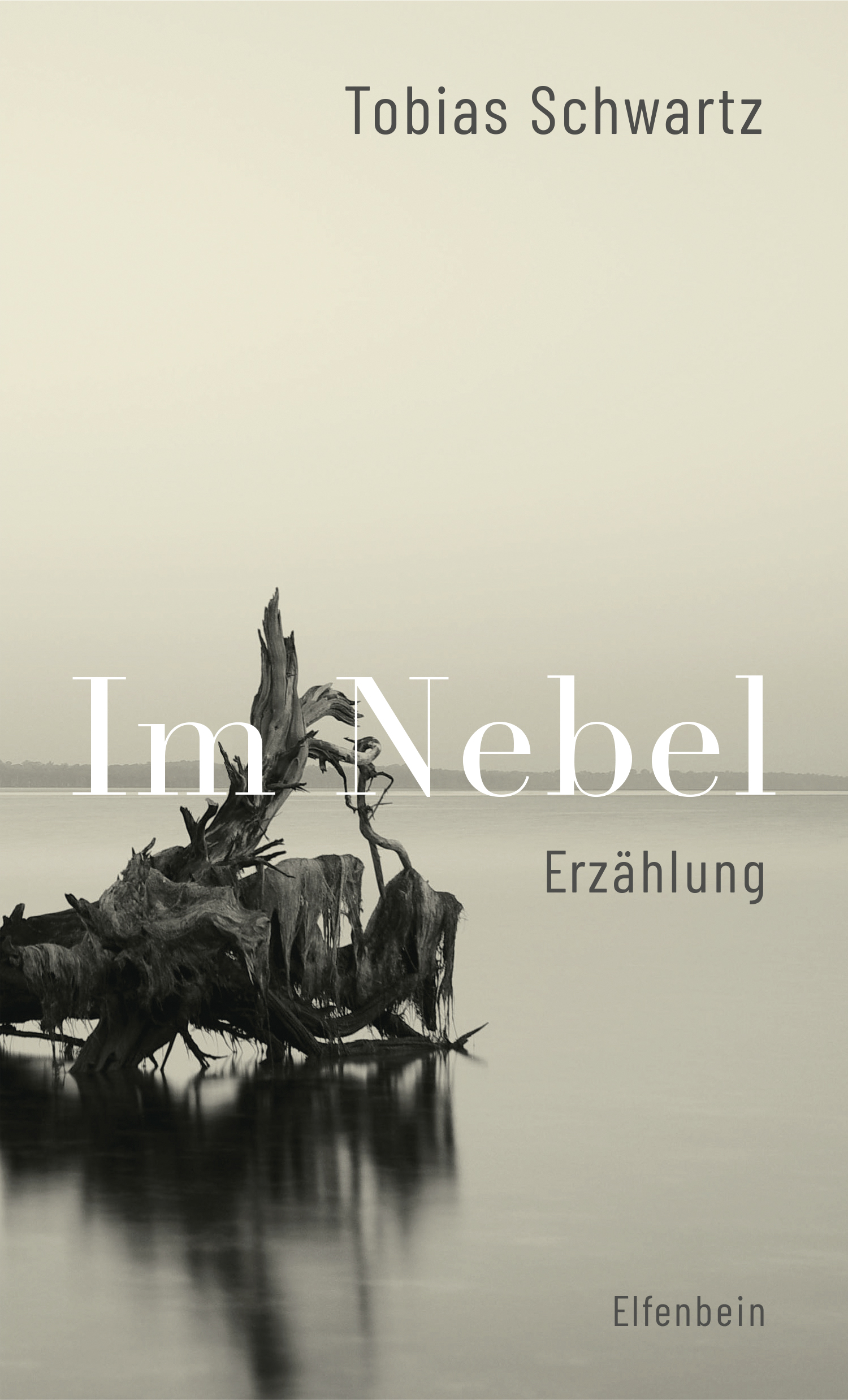 Tobias Schwartz: Im Nebel